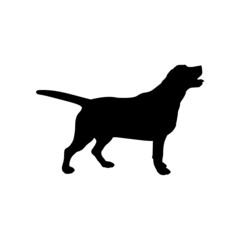 Dog silhouette. Breeds