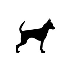Dog silhouette. Breeds