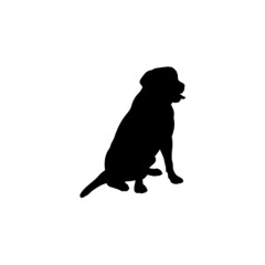 Dog silhouette. Breeds
