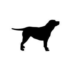 Dog silhouette. Breeds