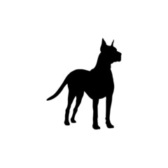 Dog silhouette. Breeds