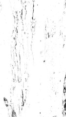 Black white texture of rugged relief fractured bark wood of aged cork oak. Old rough grunge of uneven ridged hard dry crust surface. Deep cut grooved coated layer, convex ornate textured rustic design