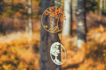 Ornamental flower of life in nature.