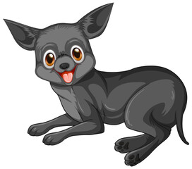 Black chihuahua dog cartoon on white background