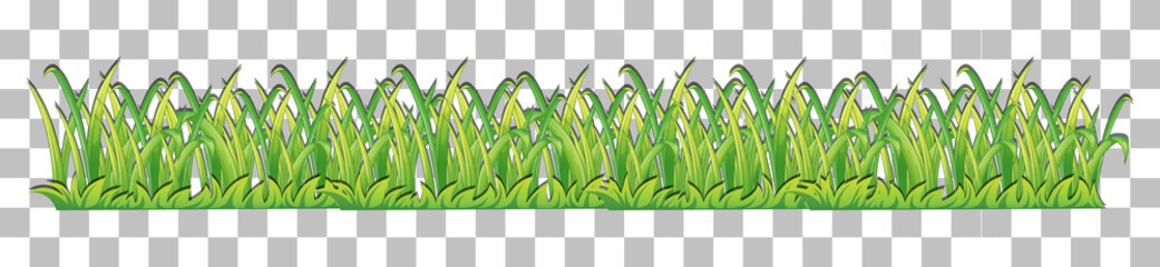 Grass and plants on transparent background for decor