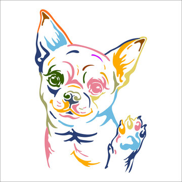 Chihuahua dog vector color contour portrait vector
