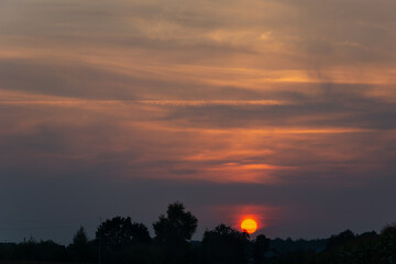Sunset over trees and pink cloudy sky