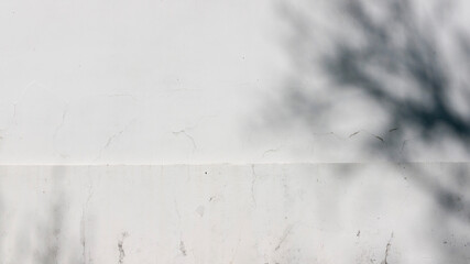 Pared blanca con sombra de ramas de árboles