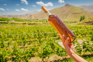 Woman with a bottle of grappa or cognac on the background of a vineyard in the mountains. The...