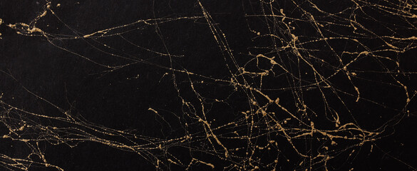 abstract art photography black background painting with gold veins texture. banner