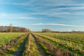 Fototapeta na wymiar A dirt road through farmland and a clear sky