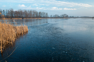 A freezing lake with reeds and clouds on the sky
