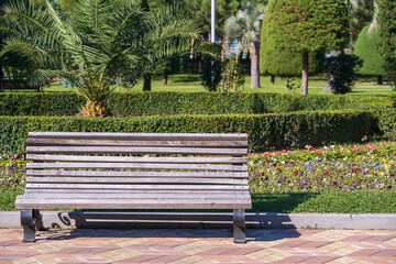 Wooden park bench in a city park on a beautiful summer day, close up