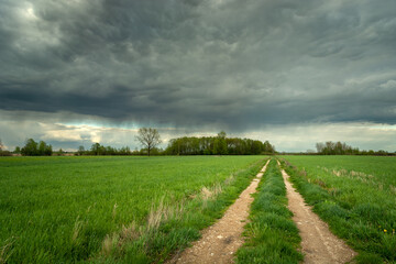 Road through green fields and cloudy sky