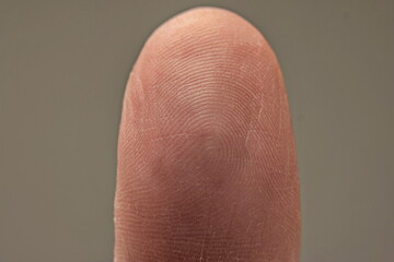 Caucasian male backside  view of thumb with unique fingerprint pattern. Macro close up studio shot, isolated on gray