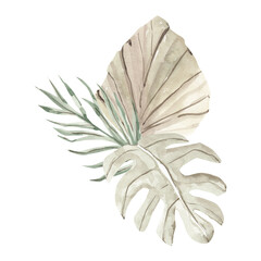 Watercolor dry tropical leaves on white background