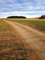 Fototapeta na wymiar Dirt country road in a green field