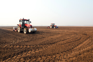 Obraz premium Farmers drive planters to grow peas on the farm