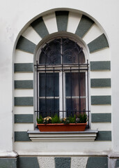 Window with flowers