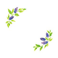 Spring floral cards with lilac hand drawn watercolor