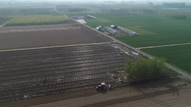 Farmers use planters to plant plastic coated peanuts on farms, North China