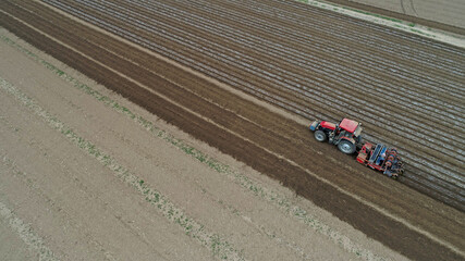 Farmers use planters to plant plastic coated peanuts on farms, North China
