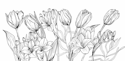 Flower border in black and white for invitations and postcards. Tulips and freesias in vector drawing - obrazy, fototapety, plakaty