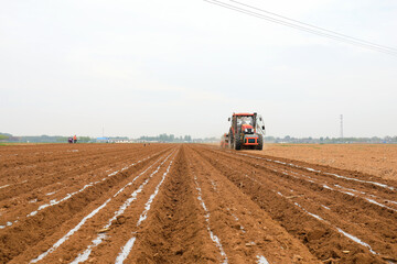 Fototapeta premium Farmers use planters to plant plastic coated peanuts on farms, North China