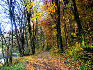 Herbst 2021