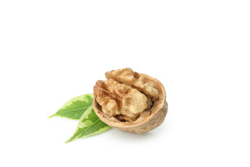 Walnut isolated on white background, close up