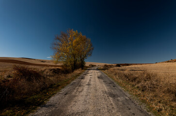Fototapeta na wymiar Landscape of a country road in autumn against sky. Shot in Castilla y Leon, Spain