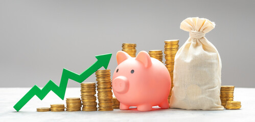 Savings growth. Koplika with a bag of money and a green up arrow and a bunch of coins