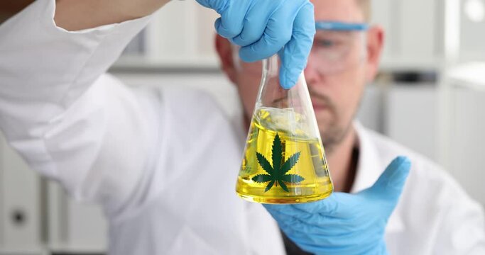 Male chemist examines marijuana oil in laboratory slow motion 4k movie