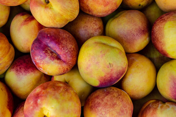 Fresh ripe nectarines for sale