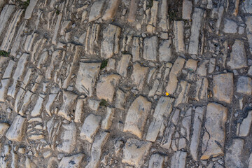 View on old paving stone. Border tile