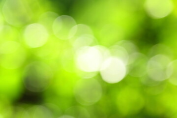 Obraz premium Fresh organic nature abstract background.