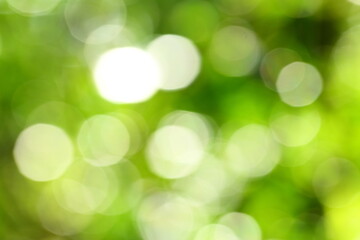 Obraz premium Freshness concepts background., nature abstract backdrop.