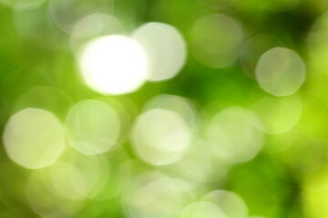 Obraz premium Freshness concepts background., nature abstract backdrop.