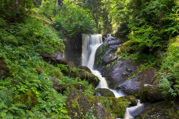 Fototapeta na wymiar Triberg Falls in Black Forest region, Germany