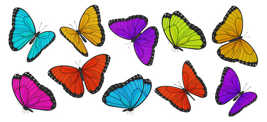 Obraz premium Big collection of colorful butterflies. Illustration 