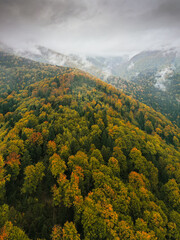 Aerial vertical panoramic view of a forest during an autumn morning at the bottom of the mountains with cloudy sky