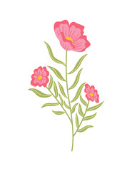 Spring flower. Botanical floral icon design. Garden plant on white background. Colorful flat vector illustration. Good decoration for wedding invitation or scrapbook
