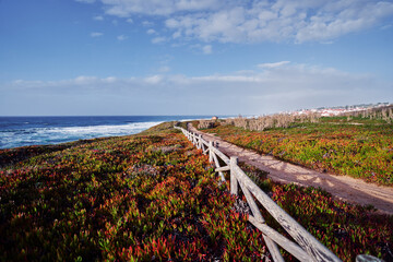 Fototapeta na wymiar Picturesque pathway on rock ocean shore, Portugal.