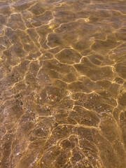 ripples in the water