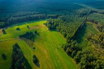 Aerial landscape of the green field and lush forest in a daylight.