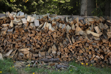 Stack of cut firewood on green grass outdoors