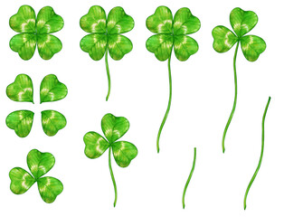 水彩風の四つ葉と三つ葉のクローバーのベクターとイラスト
