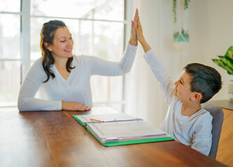 Mother and child doing homework at home