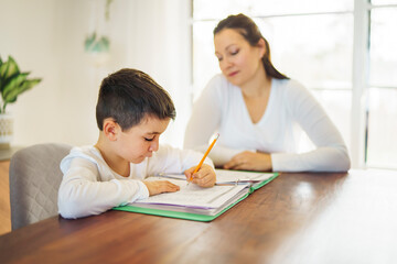Mother and child doing homework at home