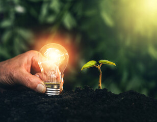 Successful sustainable business and pollution reduction. Light bulb is located on the soil, and...